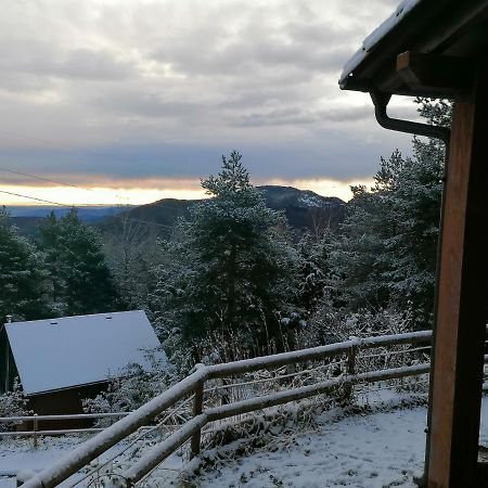 Les Marmotes Camprodon Villa Freixanet de Dalt Luaran gambar